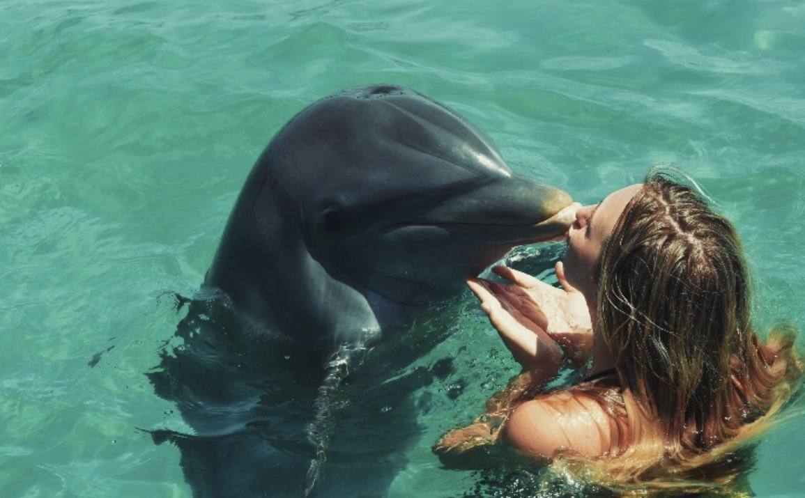 Face to face with a bottlenose dolphin in clear turquoise water