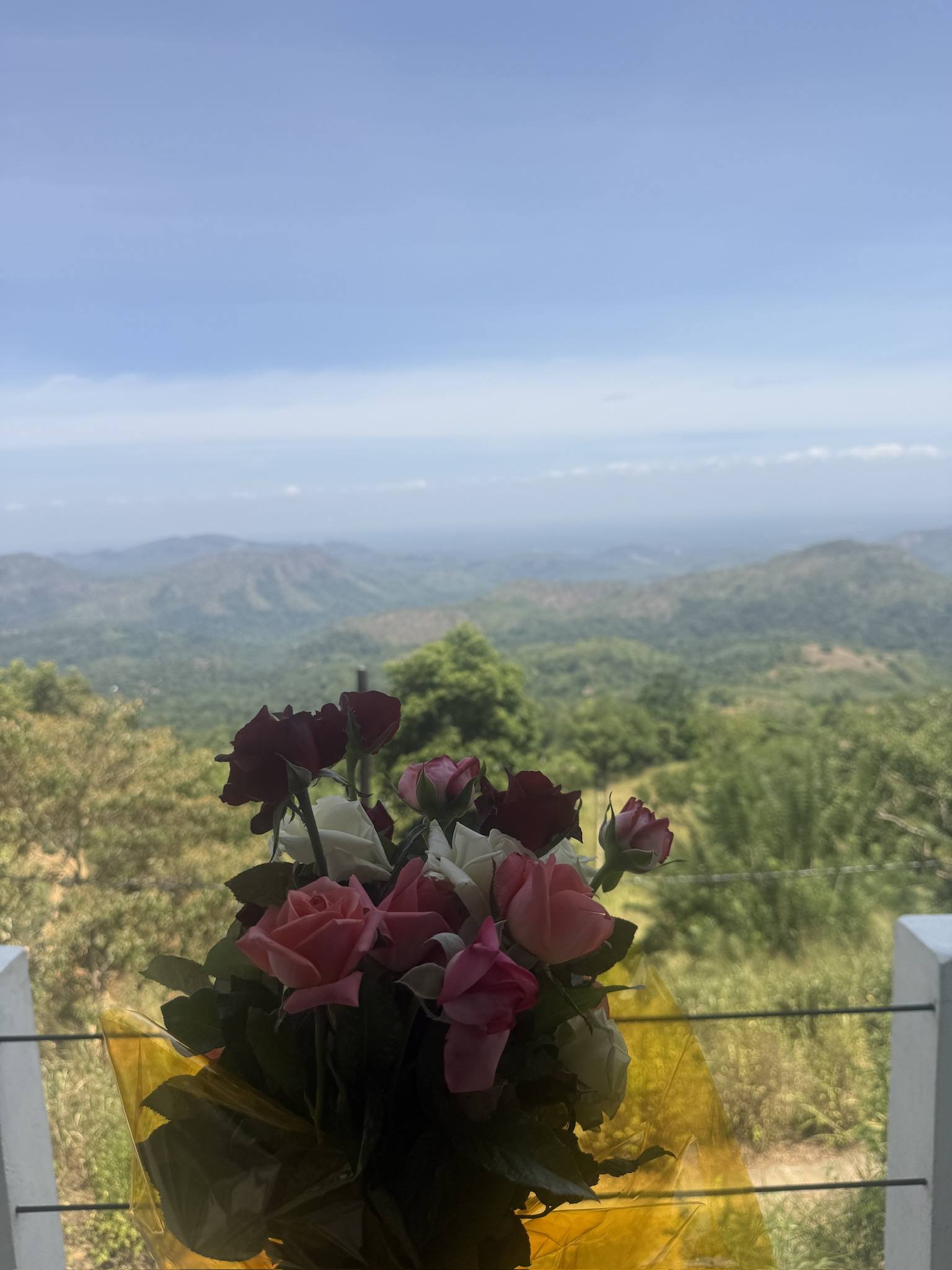 A vase of pink roses on a table looking over the hills